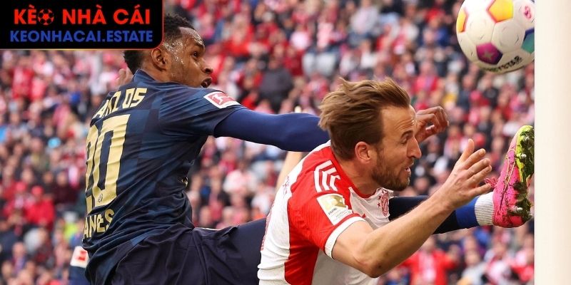 Bayern Munich Vs Mainz 05 (20:30 26/04, Bundesliga): Cơ Hội Trút Giận Cho Hùm Xám 2 Soi kèo châu Á trận Bayern Munich vs Mainz 05 (20:30 26/04)