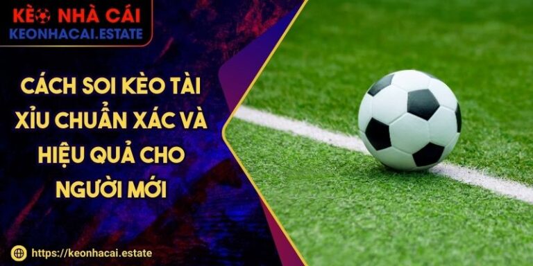 Cách Soi Kèo Tài Xỉu Chuẩn Xác Và Hiệu Quả Cho Người Mới