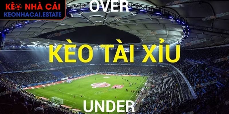 Cách Soi Kèo Tài Xỉu Chuẩn Xác Và Hiệu Quả Cho Người Mới 1 Khái quát thông tin cơ bản kèo Tài Xỉu