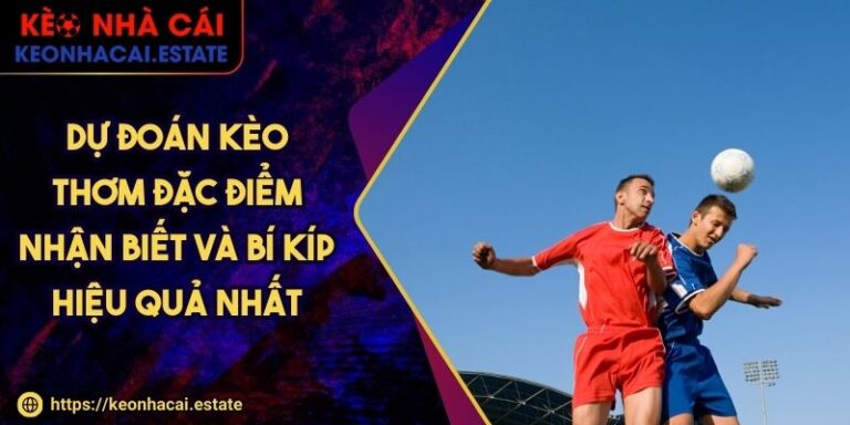 Dự Đoán Kèo Thơm Đặc Điểm Nhận Biết Và Bí Kíp Hiệu Quả Nhất