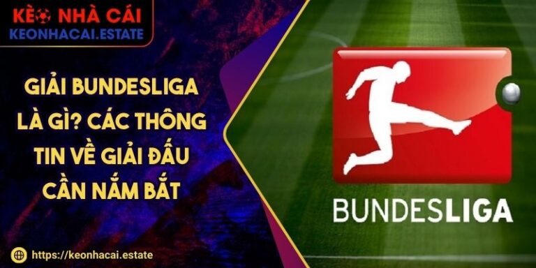 Giải Bundesliga Là Gì? Các Thông Tin Về Giải Đấu Cần Nắm Bắt