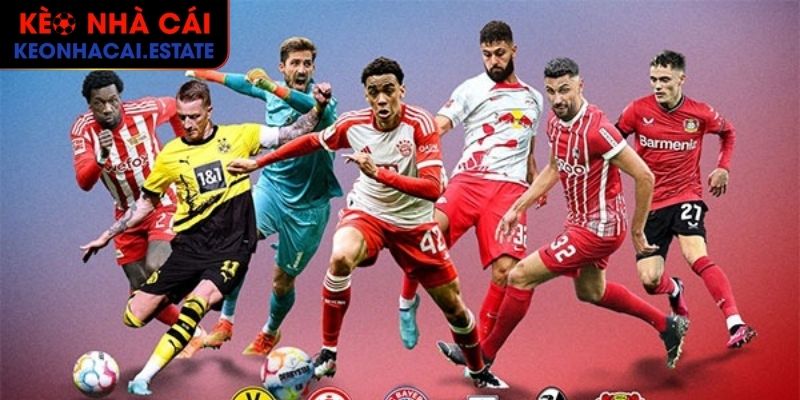 Giải Bundesliga Là Gì? Các Thông Tin Về Giải Đấu Cần Nắm Bắt 2 Các cầu thủ xuất sắc nhất giải Bundesliga trong lịch sử