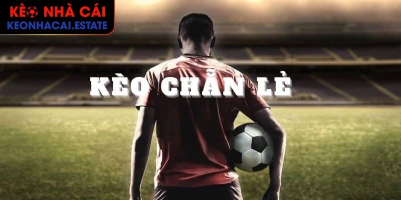 Kèo Chẵn Lẻ Cách Xem Chuẩn Và Kinh Nghiệm Cược Hiệu Quả 3 Tham khảo cược chấp Odd/Even