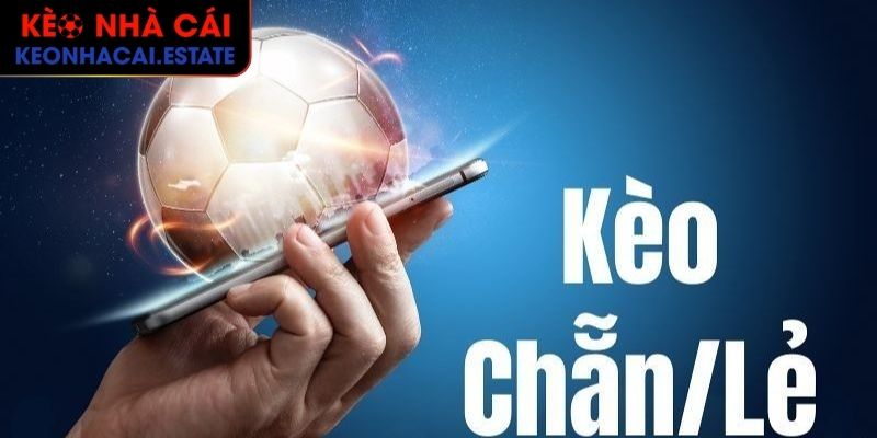 Kèo Chẵn Lẻ Cách Xem Chuẩn Và Kinh Nghiệm Cược Hiệu Quả 1 Tìm hiểu khái quát về kèo Chẵn Lẻ