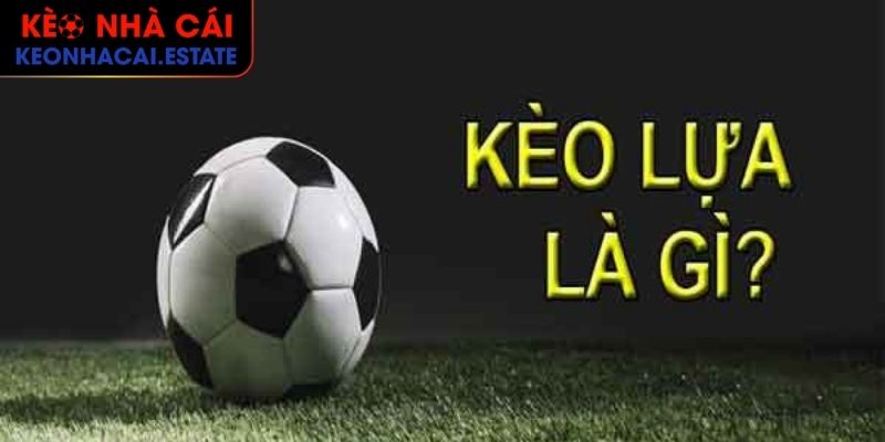 Kèo Lựa Tìm Hiểu Tỷ Lệ Ăn Và Bí Kíp Để Giành Về Chiến Thắng 1 Khái quát vài nét về kèo lựa