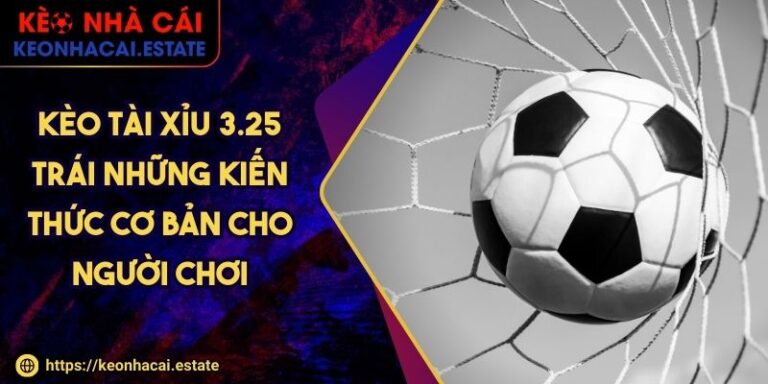 Kèo Tài Xỉu 3.25 Trái Những Kiến Thức Cơ Bản Cho Người Chơi
