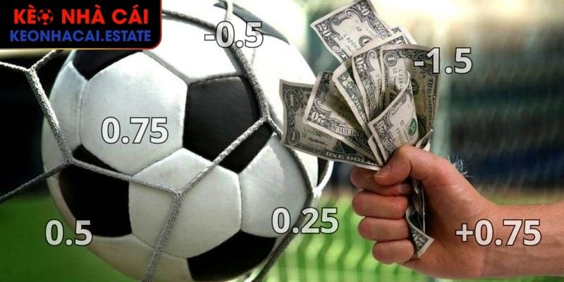 Kèo Tuồng Là Gì? Tất Cả Những Điều Để Tránh Bẫy KEONHACAI 2 Chú ý cho anh em để tham gia cược thắng lớn