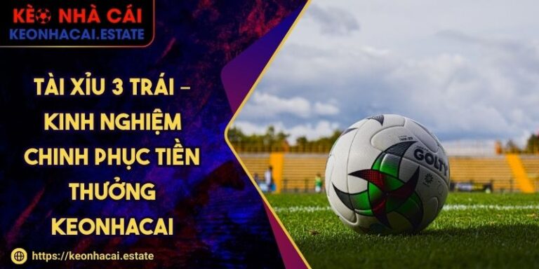 Tài Xỉu 3 Trái – Kinh Nghiệm Chinh Phục Tiền Thưởng KEONHACAITài Xỉu 3 Trái – Kinh Nghiệm Chinh Phục Tiền Thưởng KEONHACAI